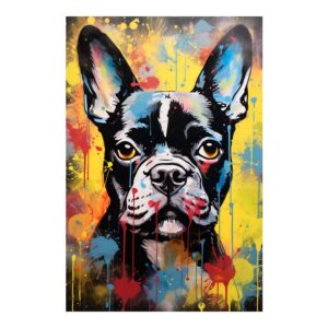 Bunter Boston Terrier